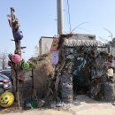 서해동물병원 | 영흥도 당일치기 여행코스 - 설 연휴에 고양이역부터 십리포까지