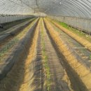 복현농장 이미지