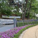 영축산 순환산책로 이미지