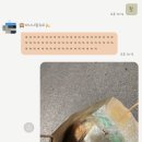 정직한여행주