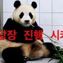 4월 23일 (화) 오후2시 도곡롯데시네마 ㅡ &#34;아서&#34; 이미지