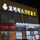 코끼리스크린골프 네이버블로그