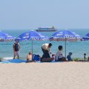 해운대해수욕장 이미지