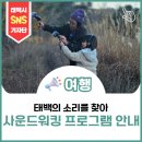 연화산유원지 | 태백의 소리를 찾아, 사운드 워킹 후기 그리고 앵콜 진행