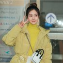 당고네 이미지