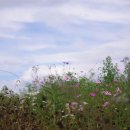 안성맞춤랜드 이미지