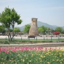 경주 산책코스 계림숲 반월성 지구 첨성대 방문자여권 스탬프 위치