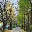 공설운동장 삼거리-우 | 경기옛길 봉화길 5길 남천주길 이천 신둔도예촌역-사기막골 도예촌-설봉산-설봉산성-설봉공원-애련정...