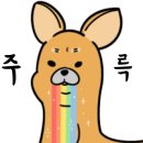 하마직구