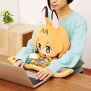 프렌즈 PC 이미지