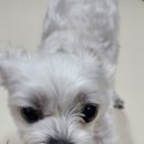 봉구의간식청주상당점