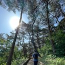 [충북/괴산] 봄나들이 트래킹 등산 추천:: 괴산 산막이길 당일치기 여행