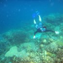 [111214-19]팔라완 코론섬 다이빙투어"(다섯번째 스노클링_CYC BEACH"두번째) 이미지