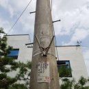 점촌3동주민센터 이미지