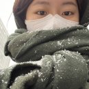 더채 달로 | 연말모임. 안국 한옥독채숙소 [더채: 달로] 내돈내산 숙박 후기🎄