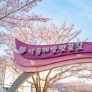 낙동제방 자전거도로 이미지