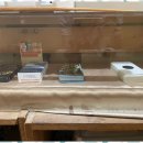 타로카드상담 | 서울타로 김영준 선생님의 타로카드 상담 후기