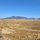 (경남고성부동산)고성읍 율대리 농지 한구간 매매/ 3,021제곱미터(914)/1억2천만원 이미지