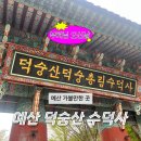 예산 가볼만한 곳 | 부처님오신날 덕숭산 수덕사 맛집까지 총정리