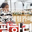 신상농장 2 이미지