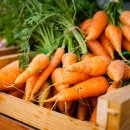 아울렛 안경 이미지