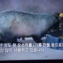 극한직업 오소리기름 한방울의 효능 이미지