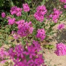 세븐일레븐 대구신천본점 이미지