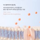 전다이브이