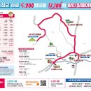 엔젤코바 이미지