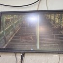 신진농장 이미지