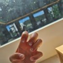 화지8리(철원제일교회) | 9월_어느새 보니 가을