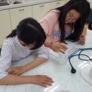 가현초등학교 이미지