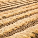 송산사거리공인중개사사무소 이미지