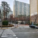 광교산동물병원 이미지