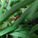 유수정농장 이미지