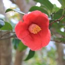 광양 옥룡사지 이미지