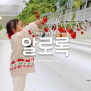 알로만농장 이미지