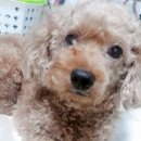 가시나무공원 이미지