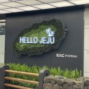 위미위드미 게스트하우스 이미지