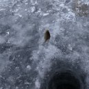 백곡진천공인중개사사무소 | 진천 백곡저수지 빙어낚시[26.01월]