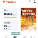 변함없는만보걷기(11/11) 이미지