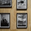 가우리 GAURI 이미지