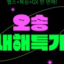 메이져 복싱 이미지