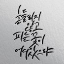 캘리그라피 디자인(기초) 이미지