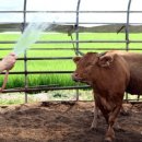 퇴촌토지공인중개사사무소 이미지