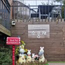소풍재 풀빌라 가족 커플 스파펜션 | 영흥도 풀빌라 추천 소풍재 | 아이들과 수영 실컷 하고 온 가족여행