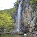 강천산군립공원(현수교) 이미지