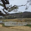 송산목장 네이버블로그