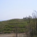 소월1리 이미지