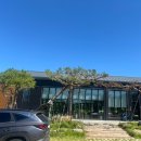 보리수카페 | 익산 여산 보리수 주말농장 및 카페 다녀온 후기